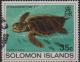 Colnect-4065-114-Loggerhead.jpg