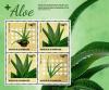 Colnect-5942-915-Aloe-Vera.jpg