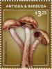 Colnect-3640-216-Mushrooms.jpg