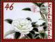 Colnect-6191-416-Camellias.jpg