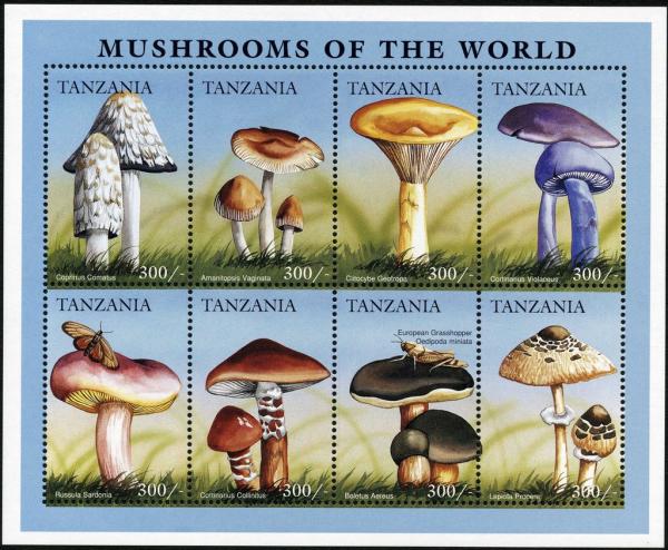 Colnect-3239-317-Mushrooms.jpg