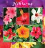 Colnect-3518-179-Hibiscus.jpg