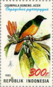 Copsychus_pyrropygus_1993_Indonesia_stamp.jpg