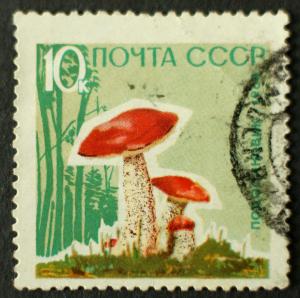 Soviet_Union_stamp_1964_CPA_3126a.jpg.JPG