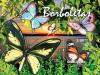 Colnect-5413-961-Butterflies.jpg