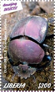 Colnect-5727-011-Dung-Beetle.jpg