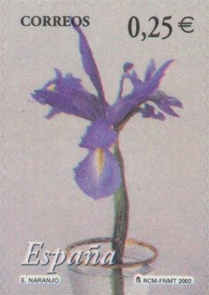 Colnect-182-961-Iris-flower.jpg