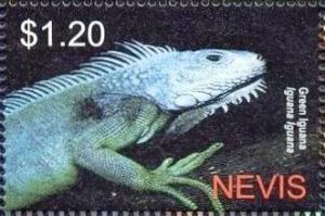 Colnect-5837-411-Green-iguana.jpg