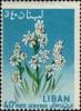 Colnect-1242-421-Narcissus-sp.jpg