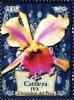 Colnect-1591-481-Cattleya-rex.jpg