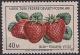 Colnect-1687-191-Strawberries.jpg