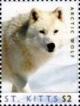 Colnect-6303-961-Arctic-wolf.jpg