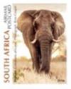 Colnect-5414-218-Elephant.jpg