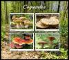 Colnect-6117-722-Mushrooms.jpg