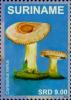 Colnect-4204-522-Mushrooms.jpg