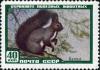 The_Soviet_Union_1959_CPA_2327_stamp_%28Red_Squirrel%29.jpg