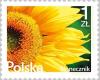 Colnect-2788-025-Sunflower.jpg