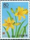 Colnect-2179-268-Daylily.jpg