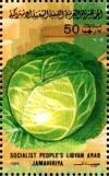 Colnect-4816-276-Cabbage.jpg