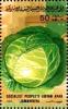 Colnect-4816-276-Cabbage.jpg
