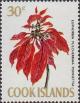 Colnect-1597-627-Poinsettia.jpg