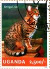 Colnect-4021-328-Bengal-cat.jpg