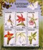 Colnect-4485-282-Orchids.jpg
