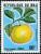 Colnect-2000-329-Grapefruit.jpg