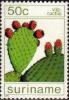 Colnect-3614-442-Vijg-cactus.jpg