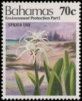 Colnect-5586-852-Spider-Lily.jpg