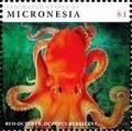 Colnect-5812-202-Red-octopus.jpg