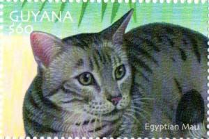 Colnect-4863-462-Egyptian-Mau.jpg