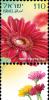 Colnect-2069-752-Red-Gerbera.jpg