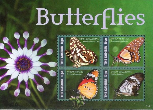 Colnect-3524-972-Butterflies.jpg