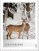 Colnect-7323-382-Deer-in-Snow.jpg