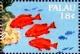 Colnect-5861-922-Red-snapper.jpg