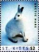 Colnect-6303-962-Arctic-hare.jpg