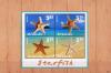 Colnect-6036-340-Starfish.jpg