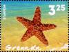 Colnect-6036-343-Starfish.jpg