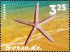 Colnect-6036-344-Starfish.jpg