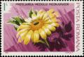 Colnect-4019-534-Sunflower.jpg