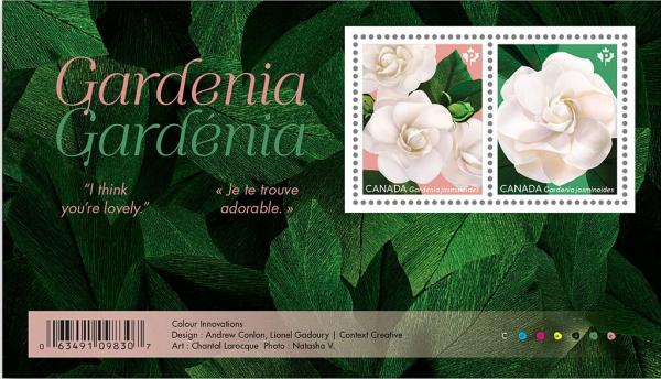 Colnect-5594-234-Gardenias.jpg