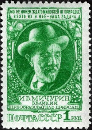 Colnect-5934-877-Ivan-Michurin-1855-1935-Russian-botanist-and-selectionist.jpg