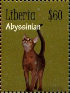 Colnect-7374-236-Abyssinian.jpg