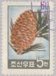 Colnect-2589-436-Korea-pine.jpg
