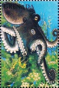 Colnect-4581-375-Octopus.jpg
