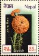 Colnect-4972-376-Marigold.jpg