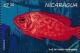Colnect-4545-390-Red-fish.jpg