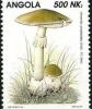 Colnect-5482-739-Mushrooms.jpg