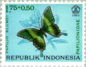Papilio_blumei_1963_Indonesia_stamp.jpg